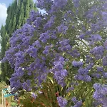 Ecole De Mathuna De Brizay Bed & Breakfast Marigny-Brizay