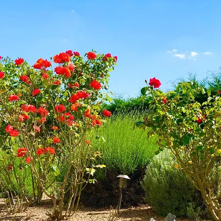 Ecole De Mathuna De Brizay 3* Marigny-Brizay