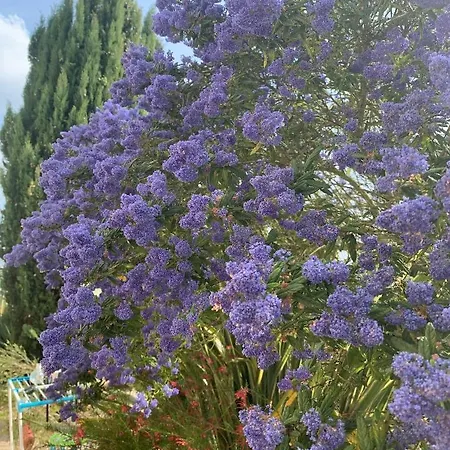 Ecole De Mathuna D Hotes Familiale Sejour Calme Avec Piscine Et Jardin Bed & Breakfast Marigny-Brizay
