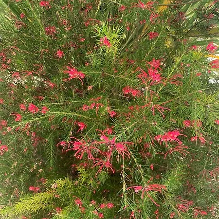 Bed & Breakfast Ecole De Mathuna De Brizay