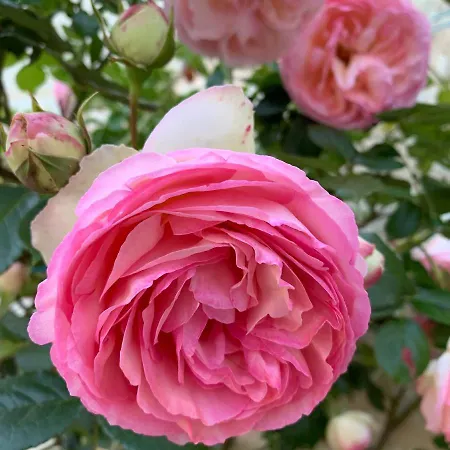 Ecole De Mathuna De Brizay Marigny-Brizay