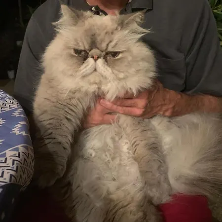 Ecole De Mathuna De Brizay Bed & Breakfast