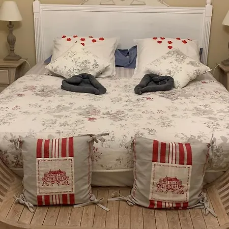 Ecole De Mathuna De Brizay Bed & Breakfast 3*