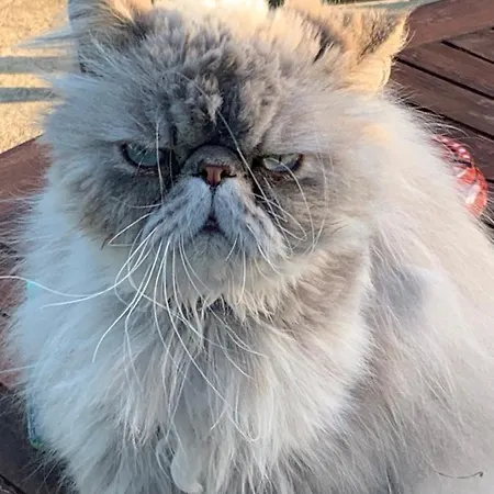 Ecole De Mathuna De Brizay Marigny-Brizay